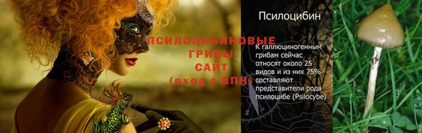 прущий лед Елизово