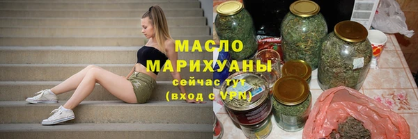 амф Ельня