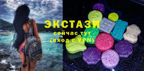 амф Ельня