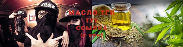 амф Ельня