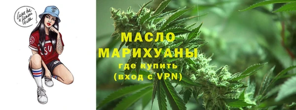 амф Ельня