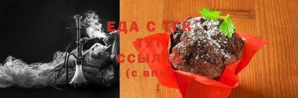 амф Ельня