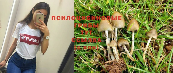 прущий лед Елизово
