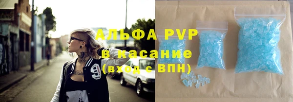 амф Ельня