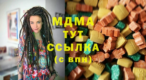 амф Ельня