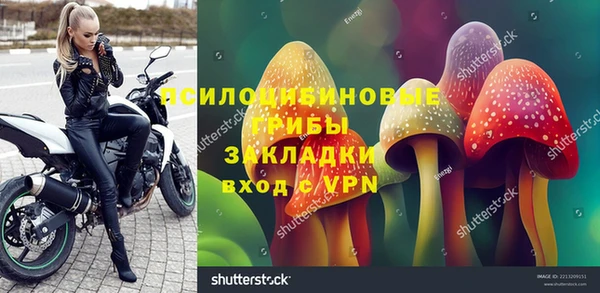 амф Ельня