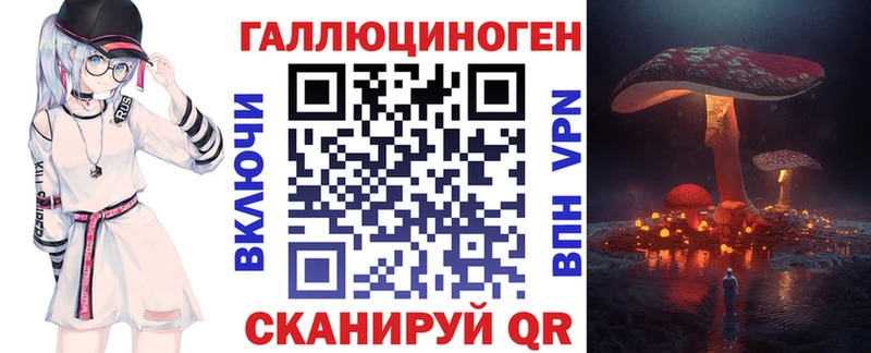 Купить Хадыженск Псилоцибиновые грибы Psilocybine cubensis